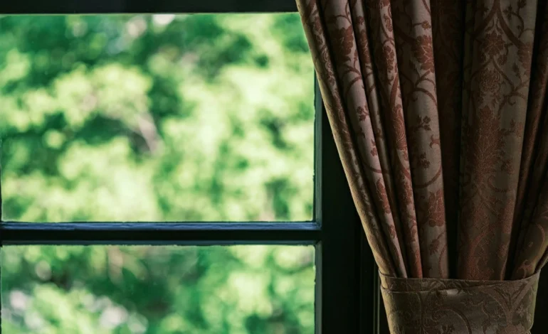 hidefumi ohmichi uzfQxp4arns unsplash