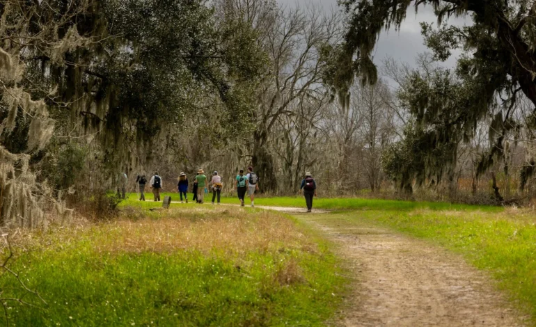 Health walks encouraging residents to get outside and enjoy fresh air