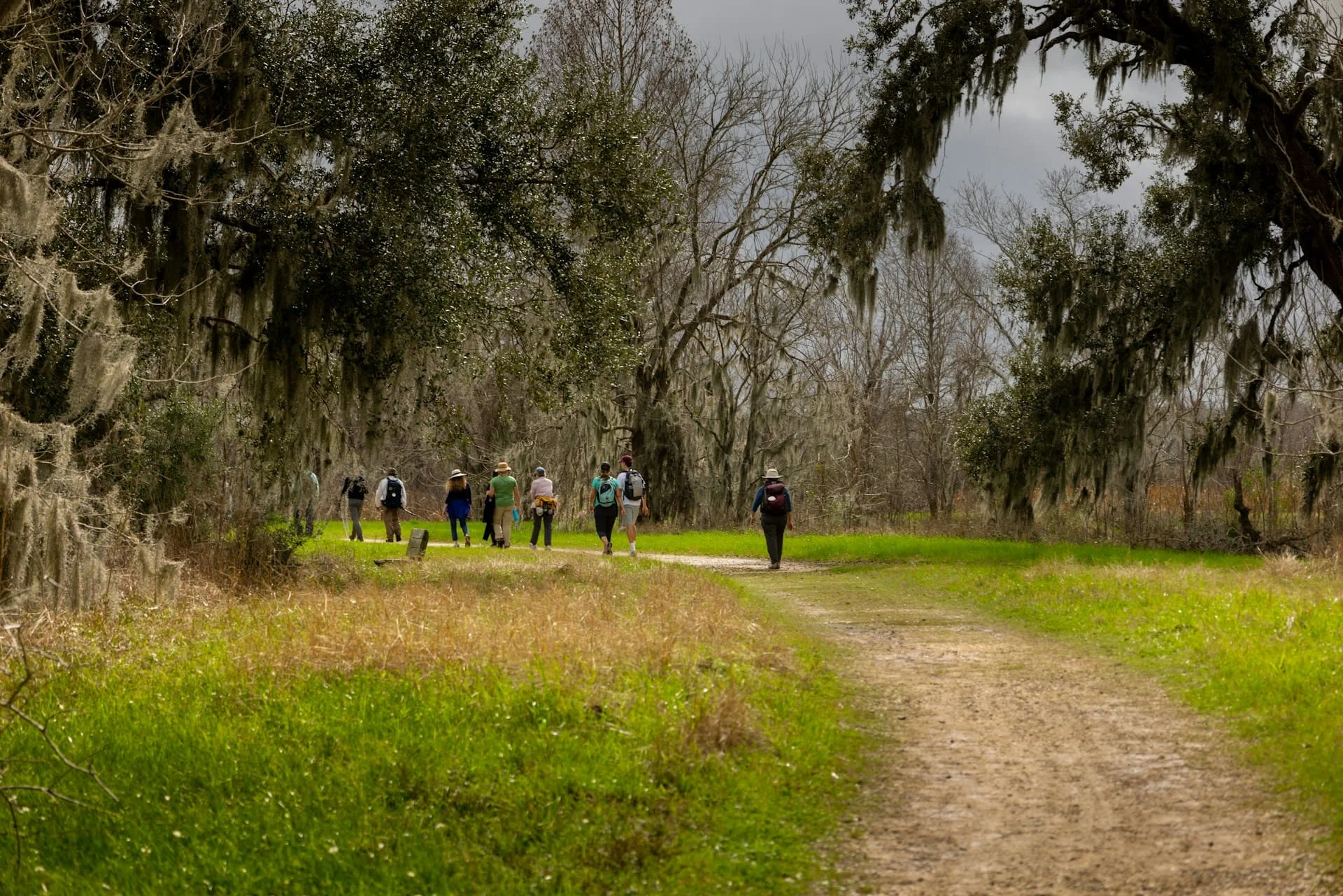 webp image of group walks in park