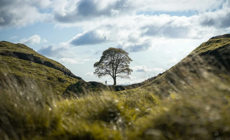 webpclement proust m3StSUrsi3I unsplash