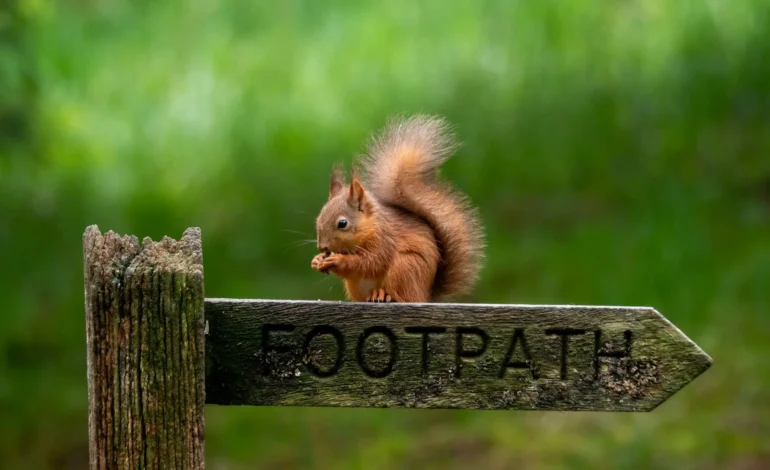 andy willis l6 pT3Jwzco unsplash