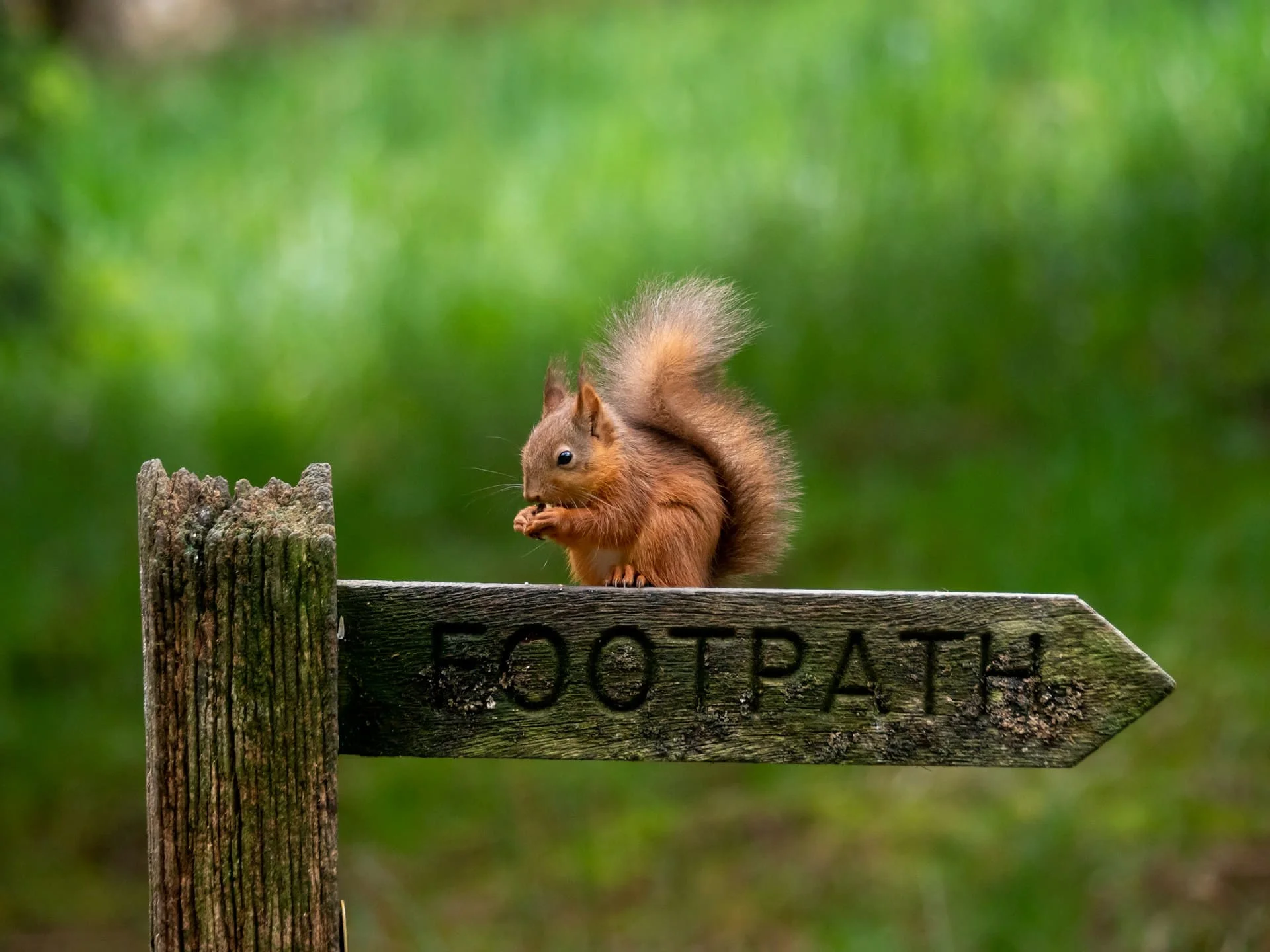 andy willis l6 pT3Jwzco unsplash