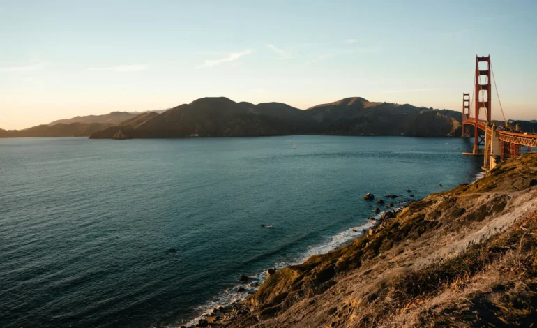 Gray whales dying in San Francisco Bay