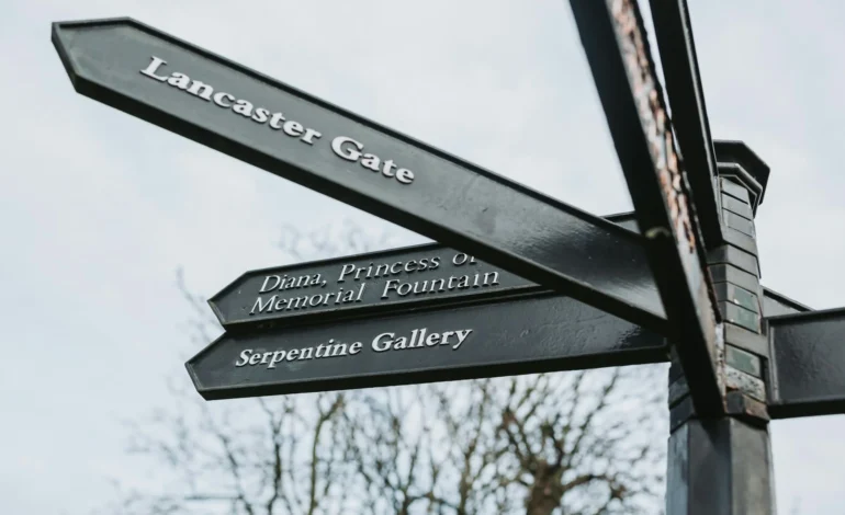 bruno martins XmuLgPYzJfo unsplash