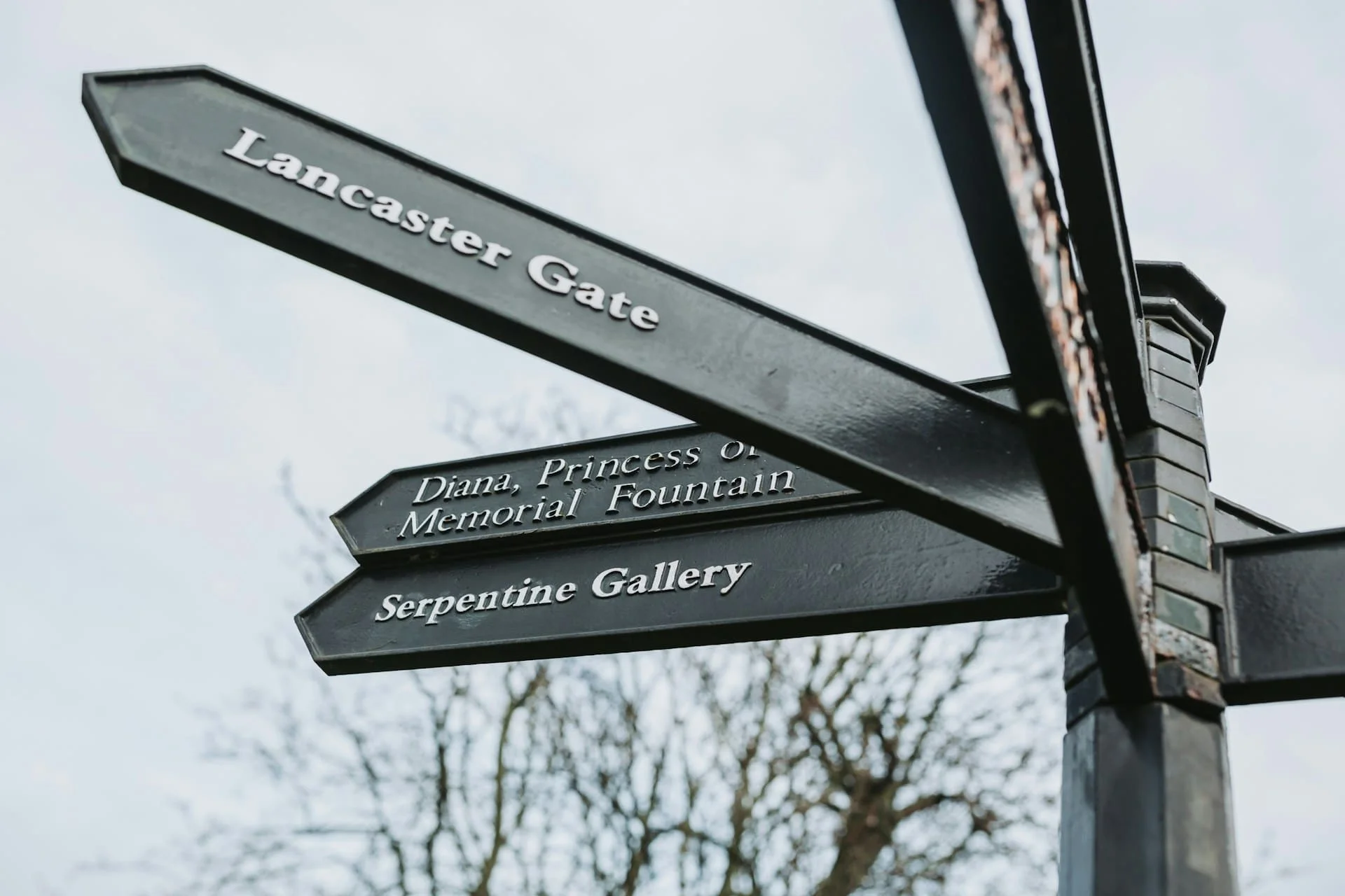 bruno martins XmuLgPYzJfo unsplash