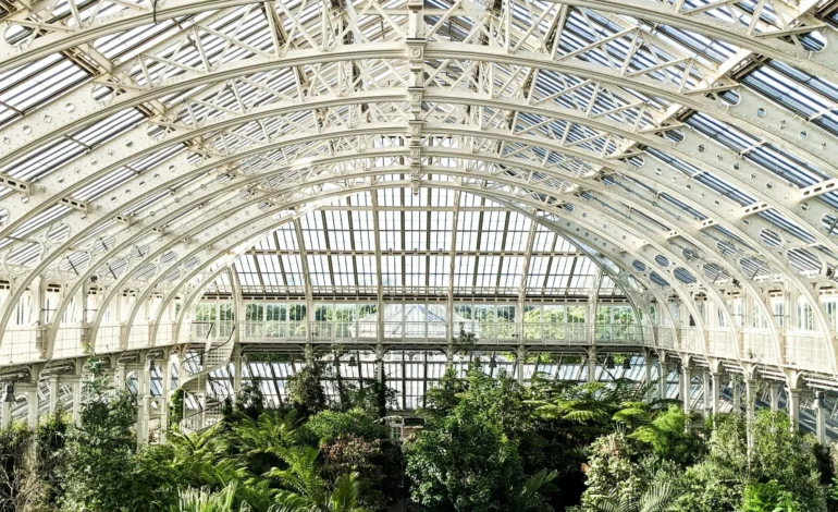 inside the palm house at kew gardens