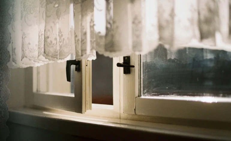 lia fee atC5ehU2Eao unsplash