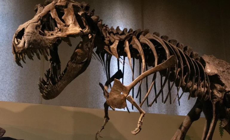 tofan teodor loDom q2mwA unsplash