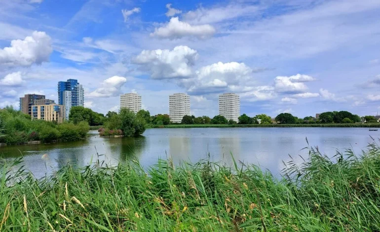 Steve Backshall opens new children’s natural play area at Woodberry Wetlands