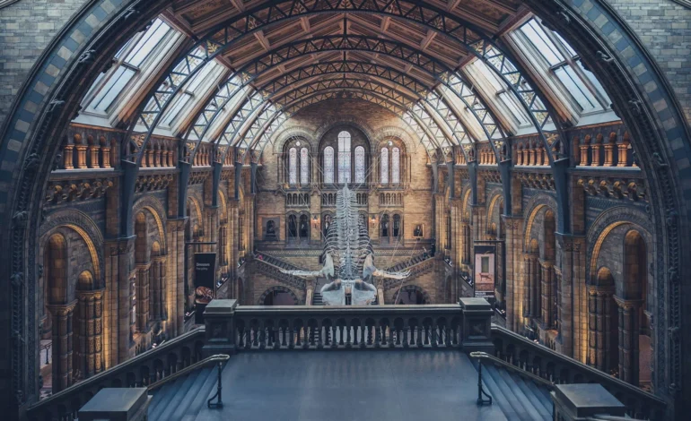 Natural History Museum Jurassic Oceans exhibition London