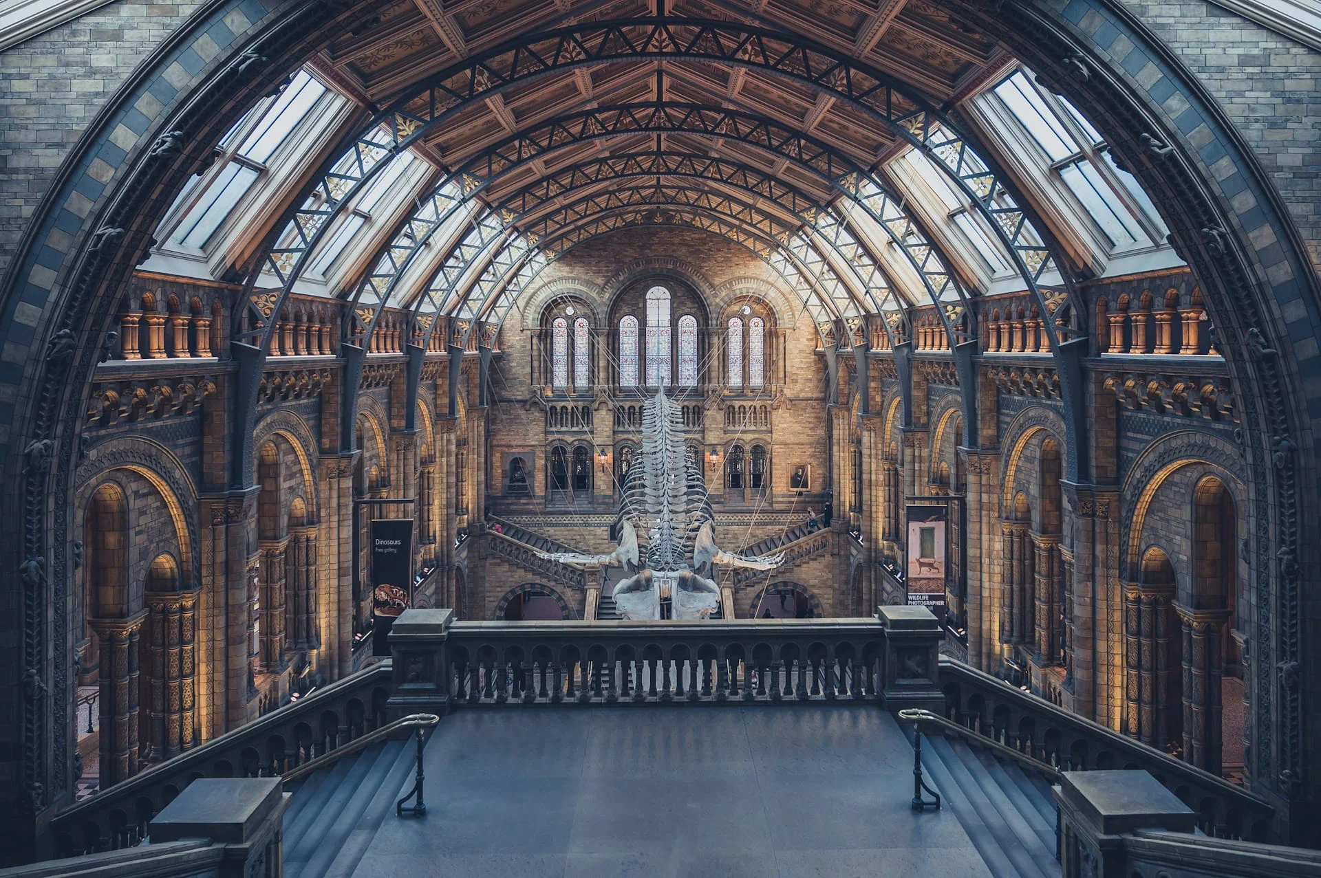 Natural History Museum Jurassic Oceans exhibition London