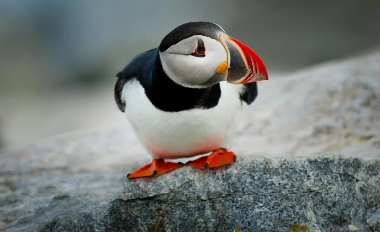 ray hennessy nI4OwVnz0dw unsplash