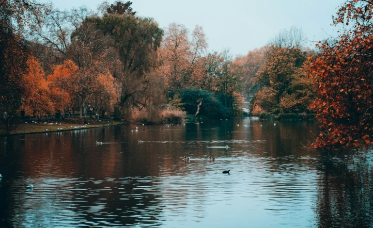 Alexandra Park launches crowdfunder for new wetland boardwalk in north London