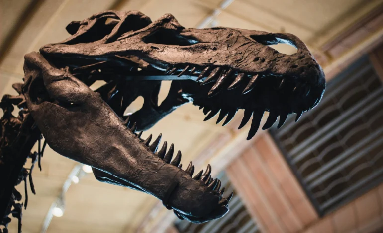 T Rex growth study