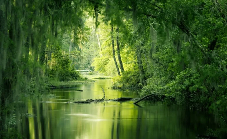 origin of life