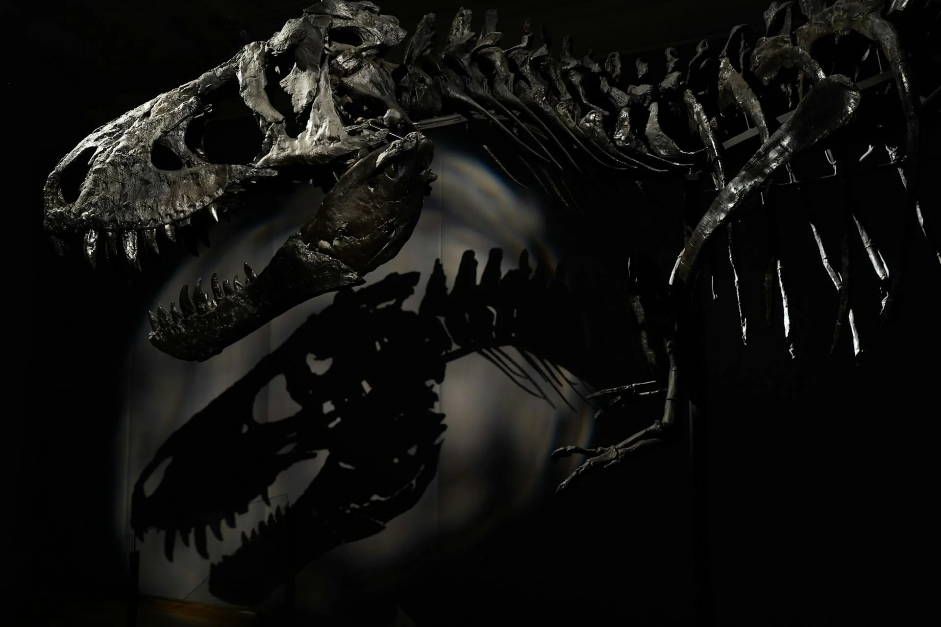 Dinosaur extinction meteorite