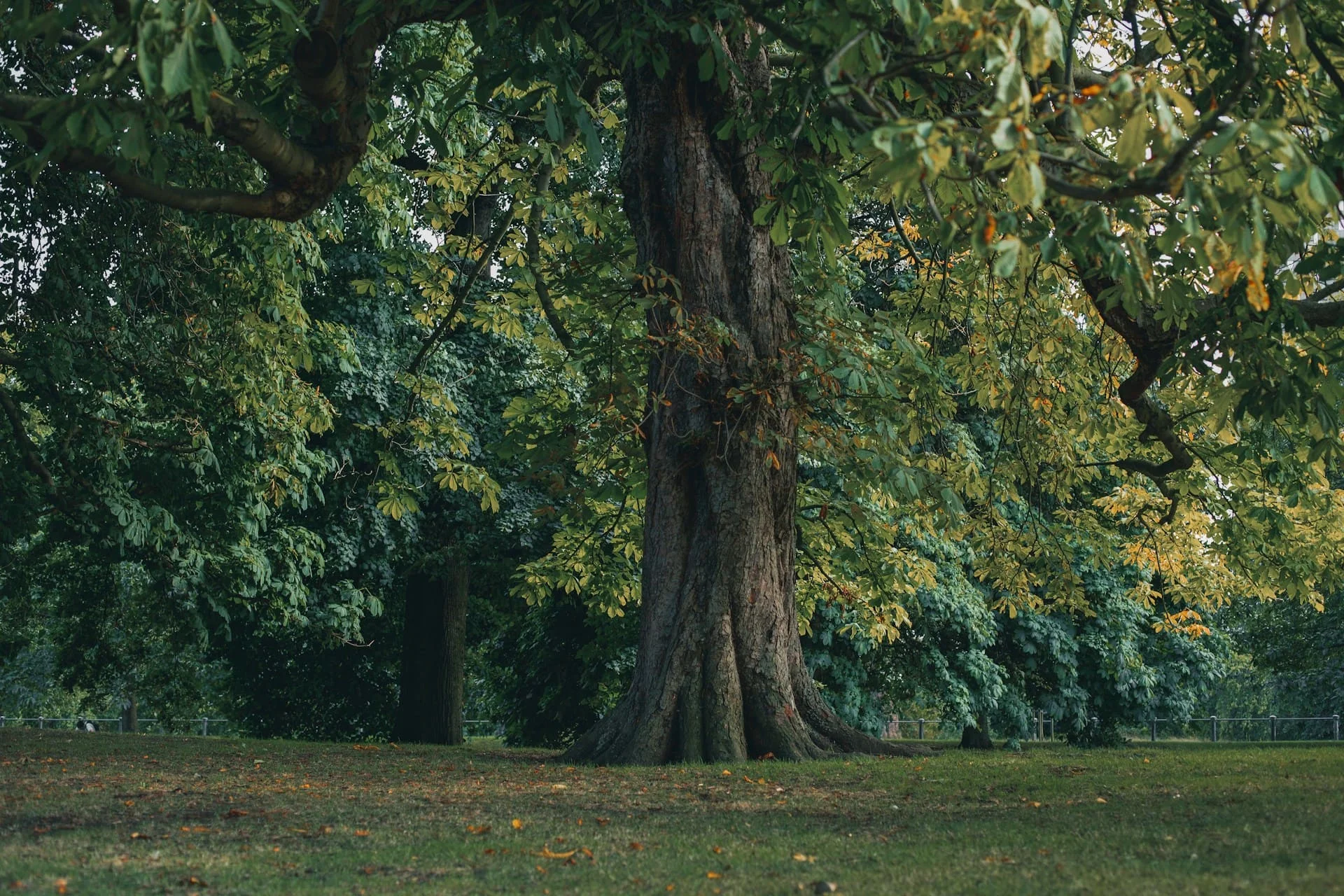 Hammersmith and Fulham Green Flag parks