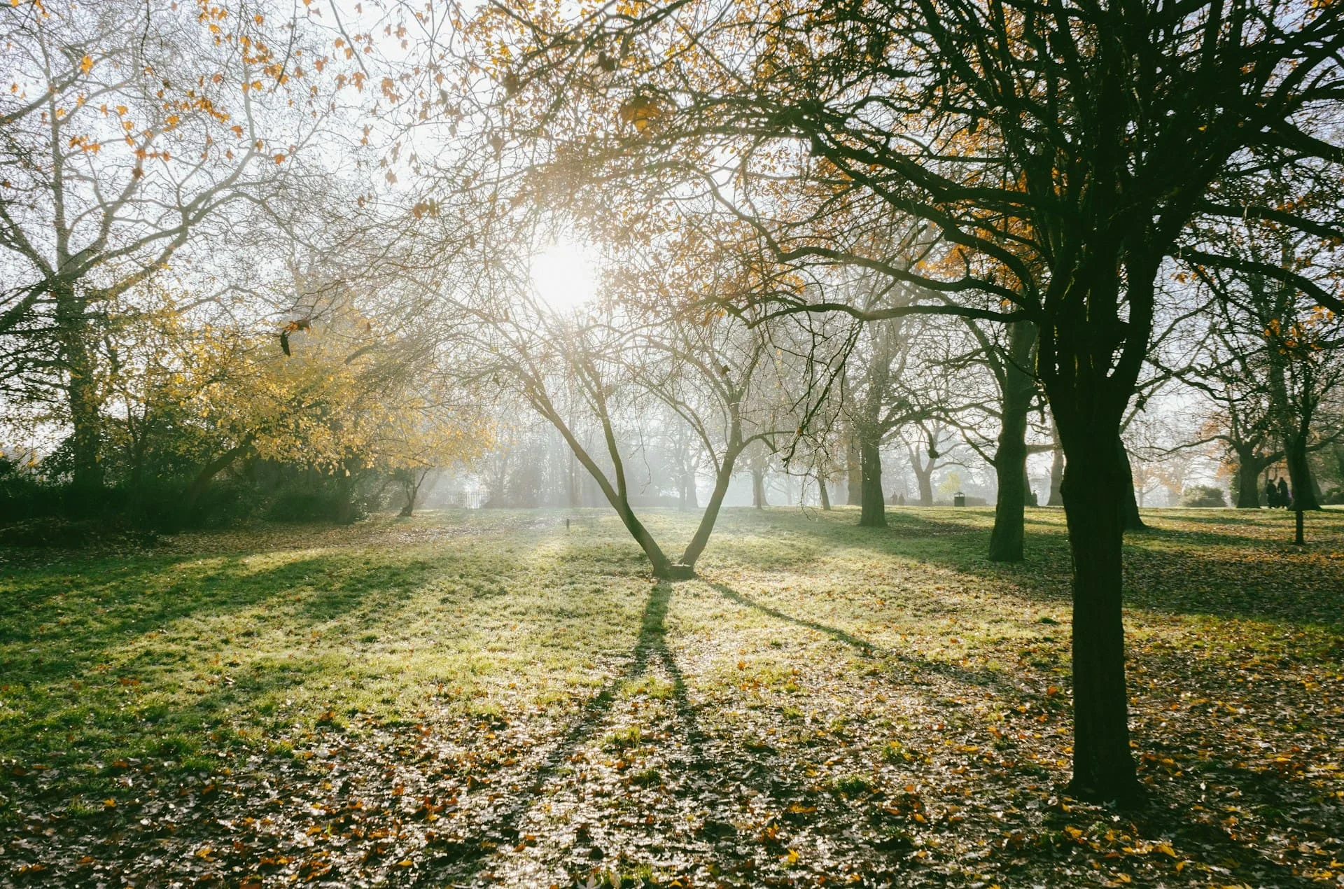 Lost Waterways of the Royal Parks