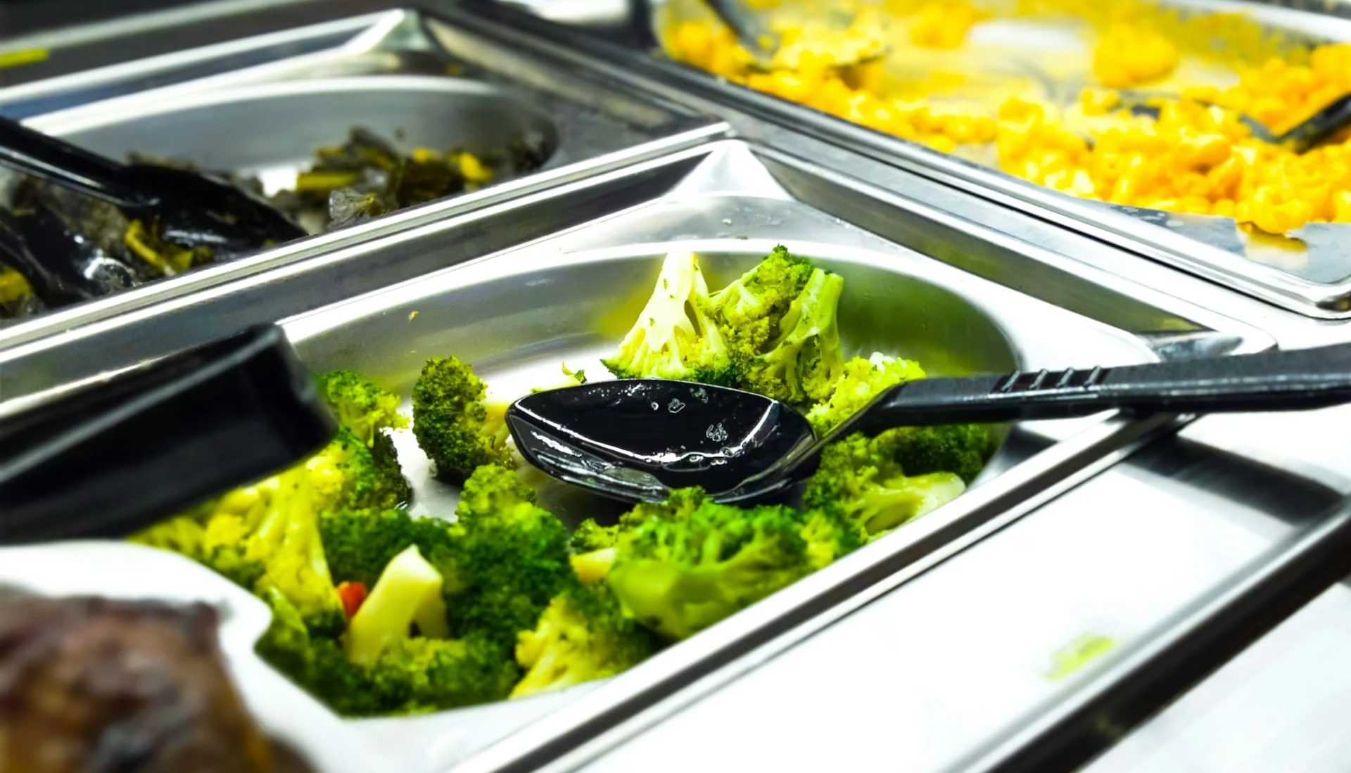 Westminster free school meals
