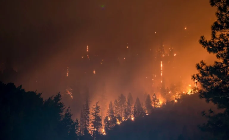End Triassic mass extinction wildfires