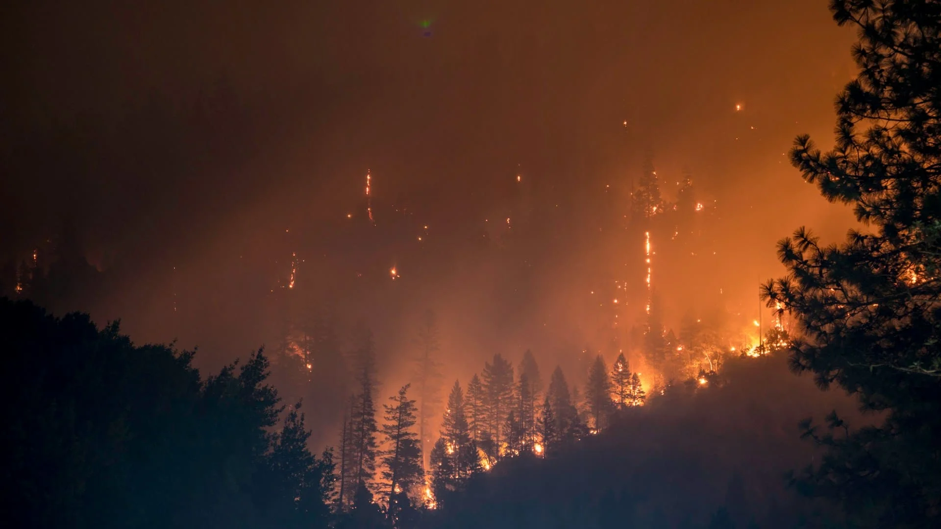 End Triassic mass extinction wildfires