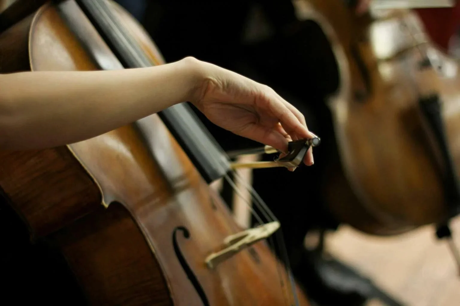Cellist's bow hand rests on the strings, evoking the Mujer Fatal album's string accompaniment