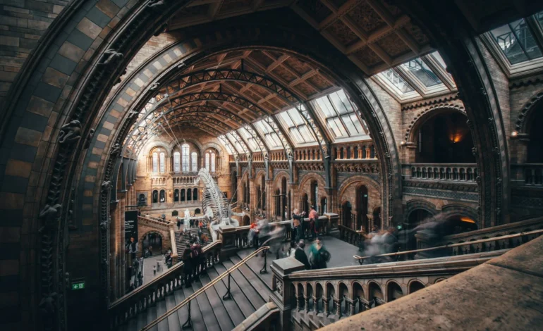 Natural History Museum to reopen gallery not seen since 1943