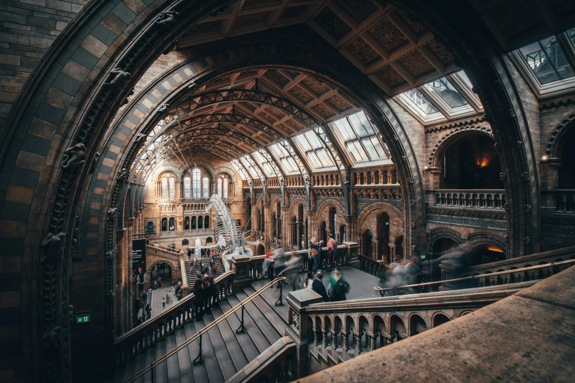 Natural History Museum to reopen gallery not seen since 1943