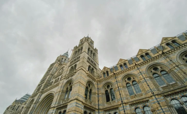 Natural History Museum sending 38 million specimens down the M4