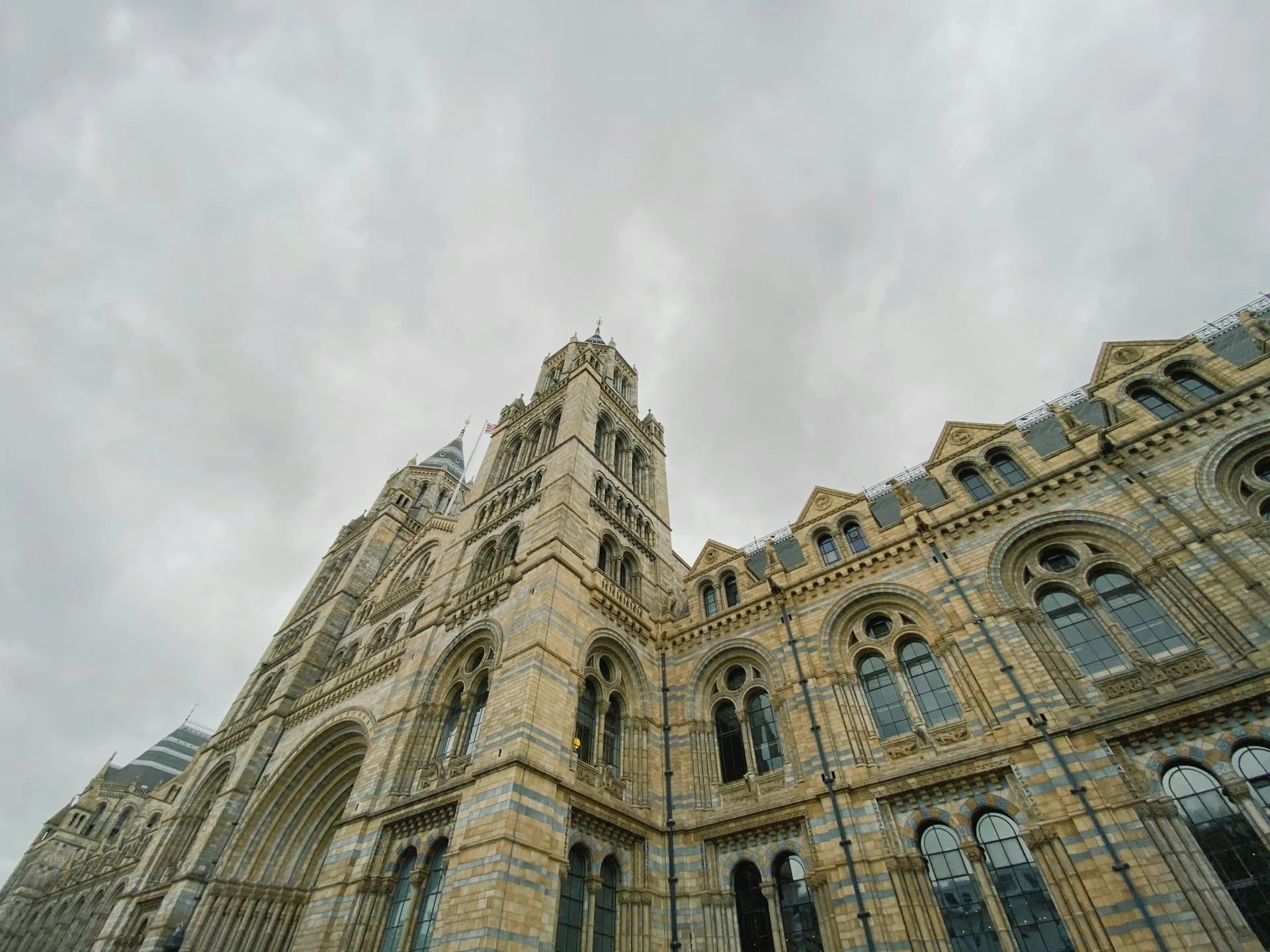 Natural History Museum move