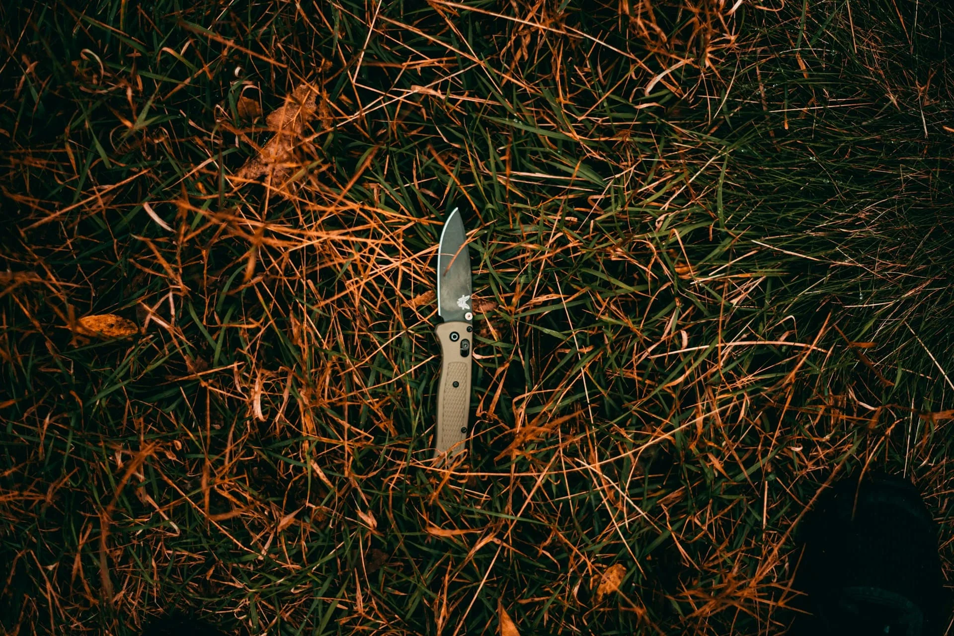 knife crime surrender scheme
