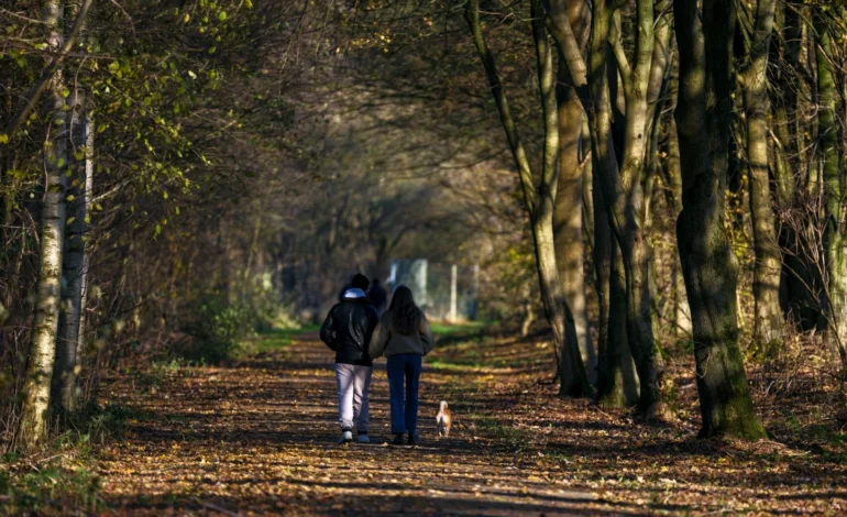 National Trust young members