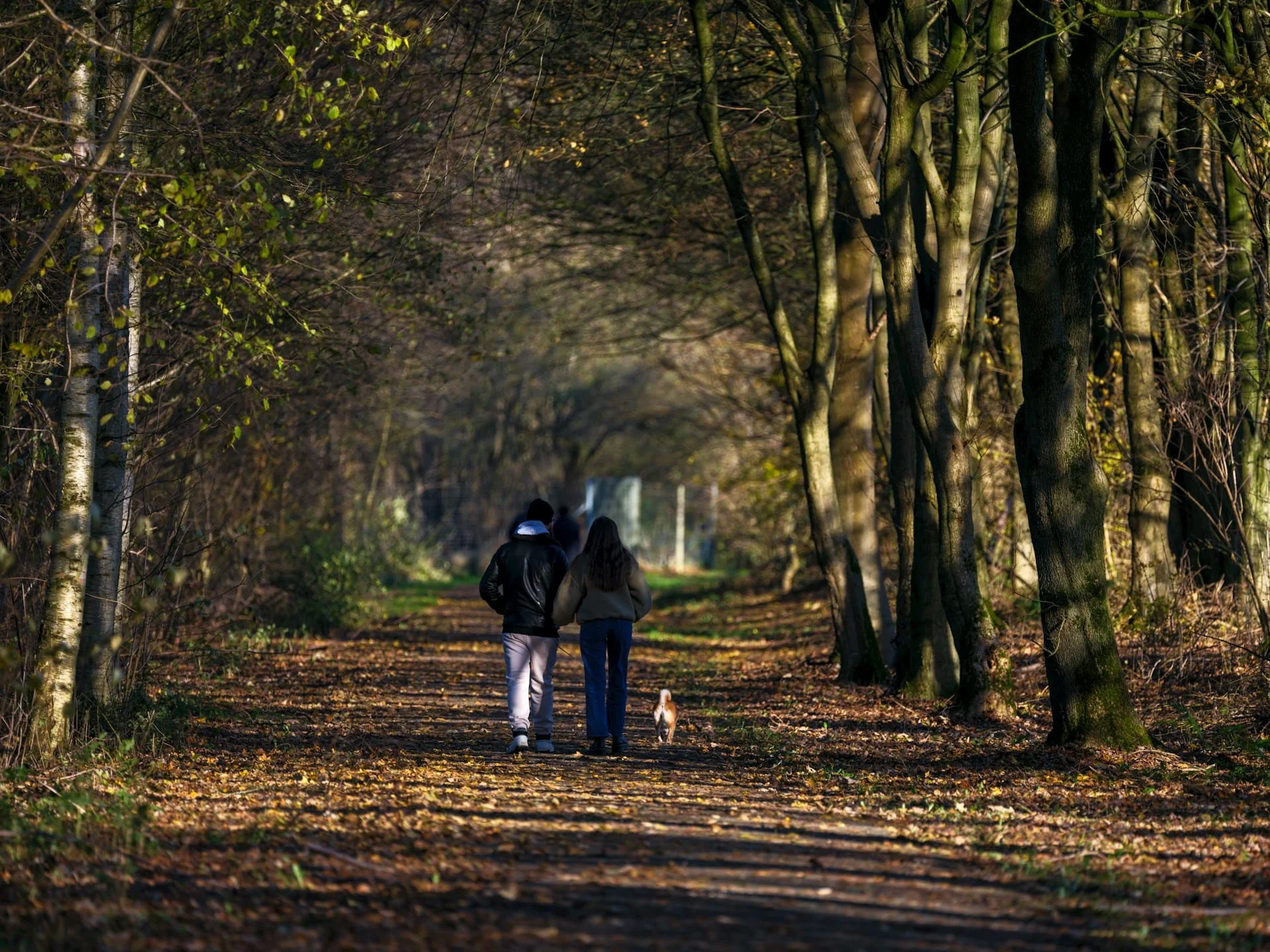 National Trust young members