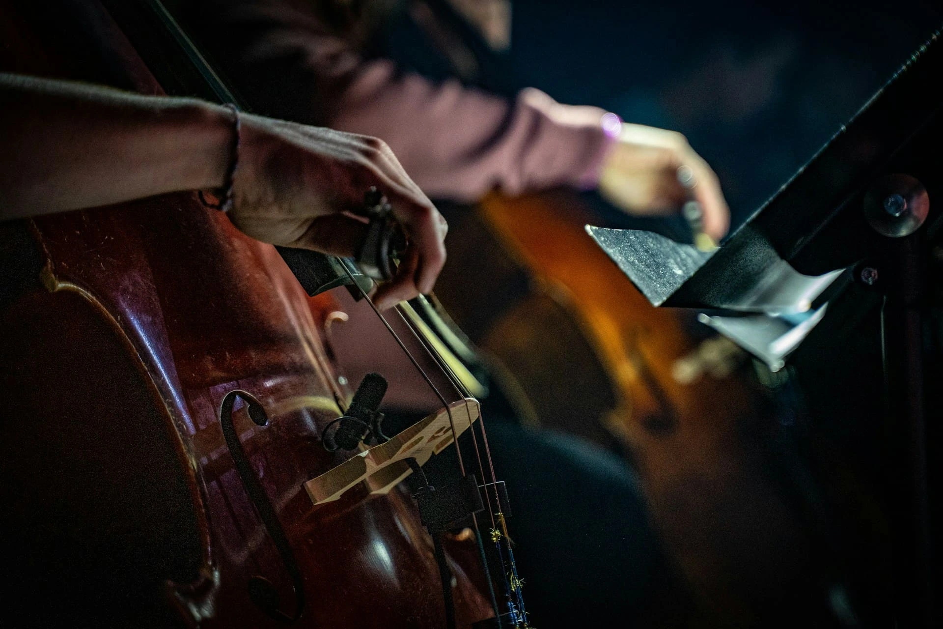 Fulham Camerata concert