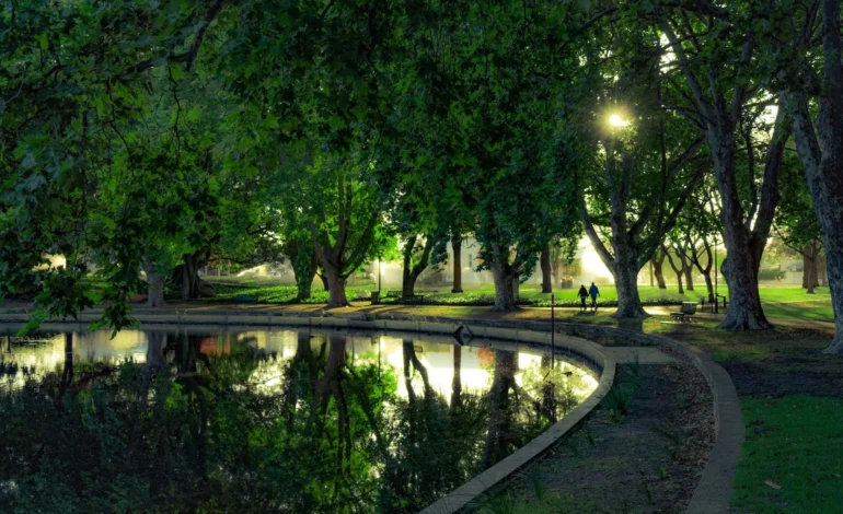 London’s Royal Parks set out new climate-resilient planting vision